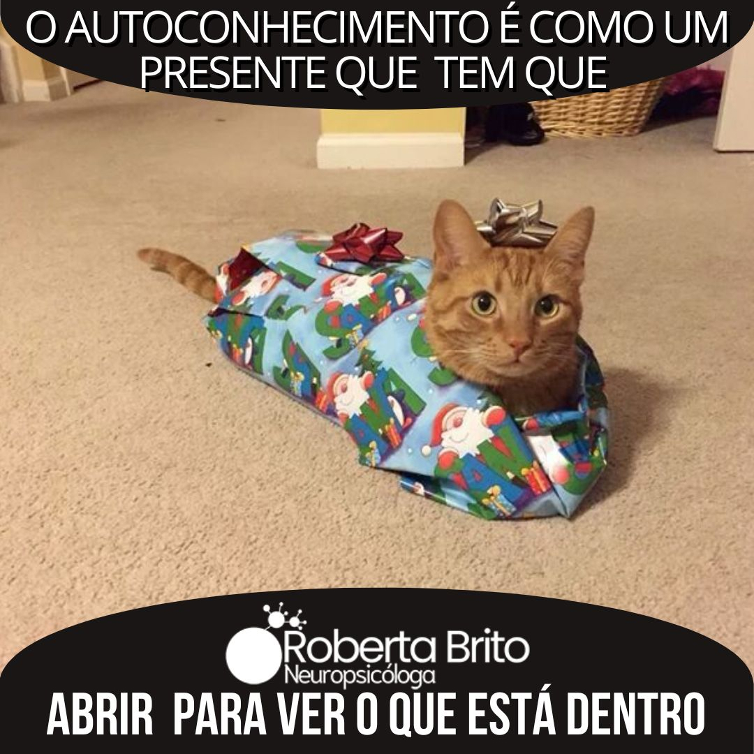 Autoconhecimento-Tem que abrir para saber !