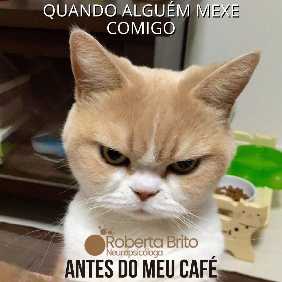 Raiva-Pode causar problemas