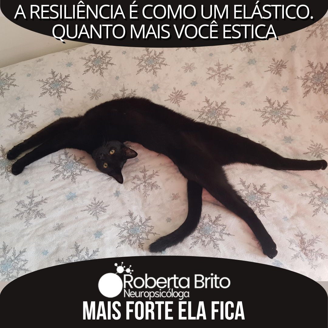 Resiliência-Como fortalecer ela ?