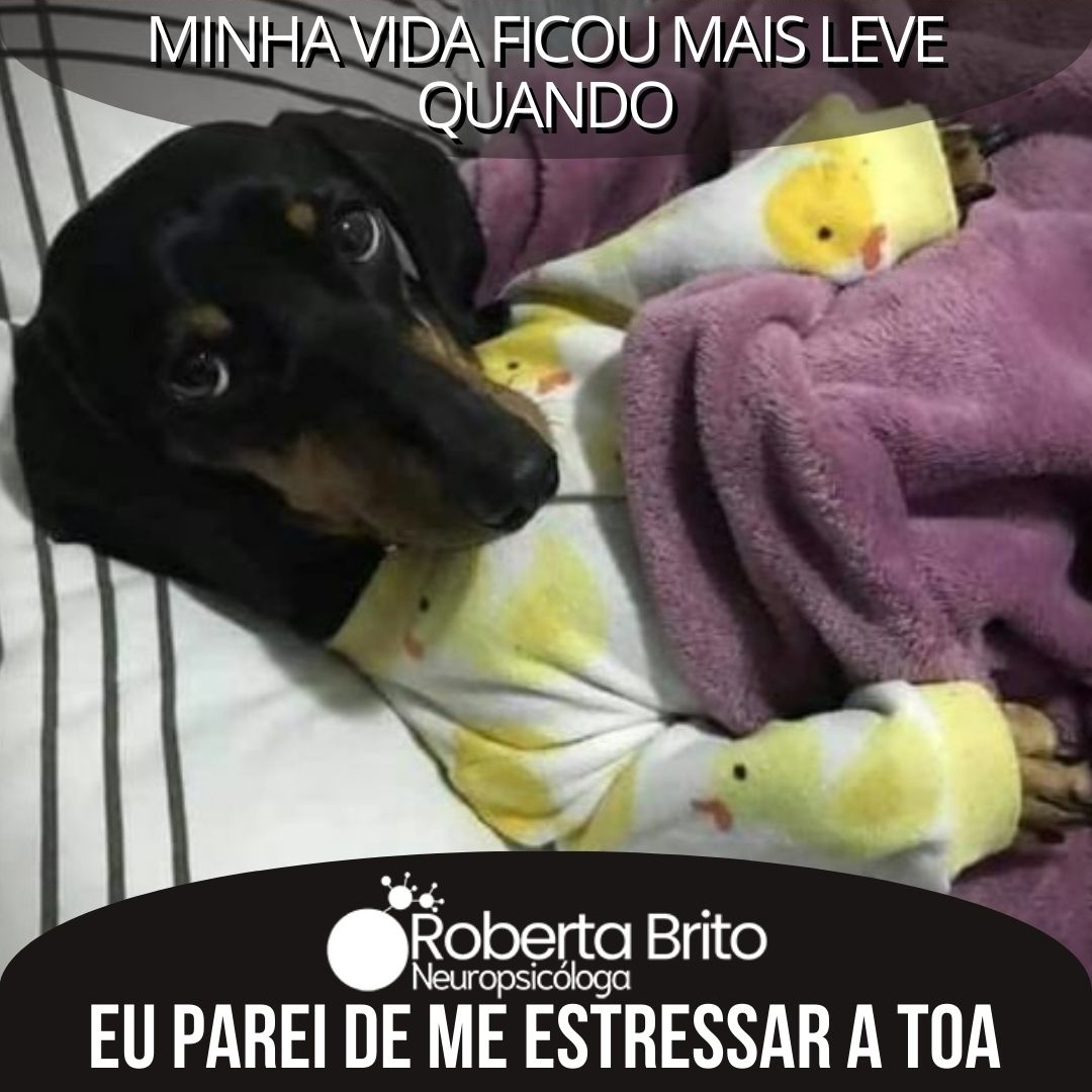 Vida boa -É sem estresse a toa